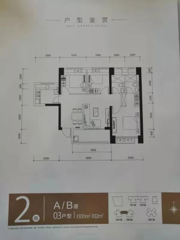 实探深圳楼市,实探楼盘