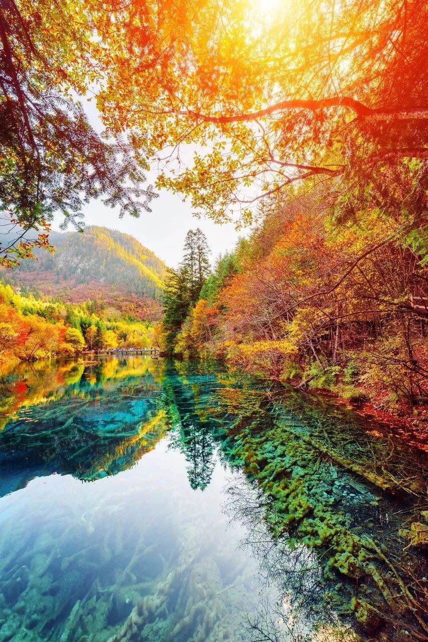 九寨沟恢复开园,九寨沟恢复迎客首游现场直播