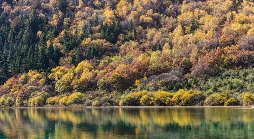 九寨沟恢复开园,九寨沟恢复迎客首游现场直播