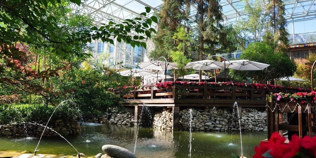 九寨沟恢复开园,九寨沟恢复迎客首游现场直播