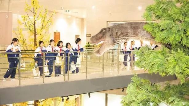 长沙适合秋季打卡的景点,长沙小众旅游攻略景点必去