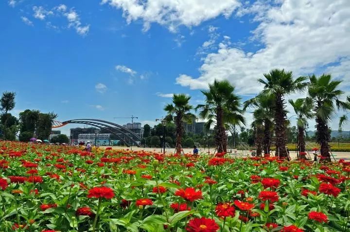 头条|世界这么大，我怕你会迷路，这份国庆出行柳州攻略请收好