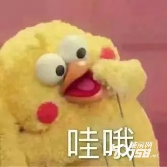 直播超过20万人观看,每天直播观看人数2000多