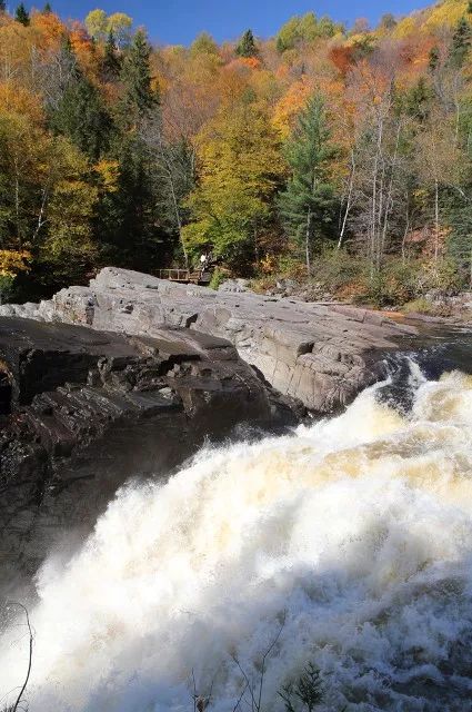 80%的人都想不到的赏秋好去处,不能错过的日本赏枫胜地