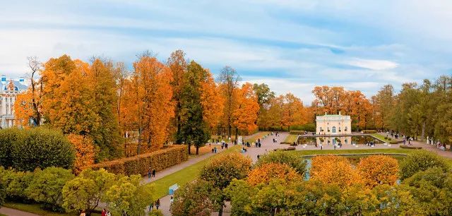 80%的人都想不到的赏秋好去处,不能错过的日本赏枫胜地