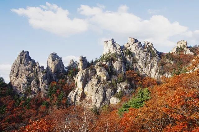 80%的人都想不到的赏秋好去处,不能错过的日本赏枫胜地