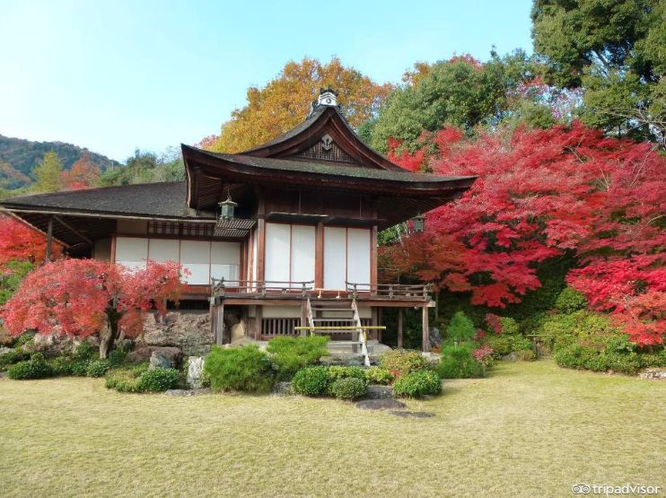 80%的人都想不到的赏秋好去处,不能错过的日本赏枫胜地