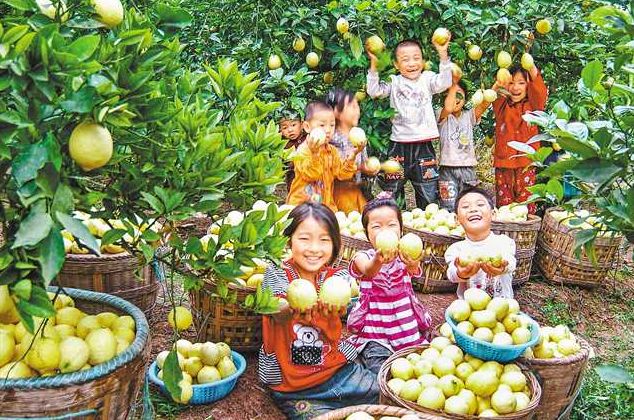 壮丽70年祖国和家乡的辉煌成就,壮丽70年祖国的变化