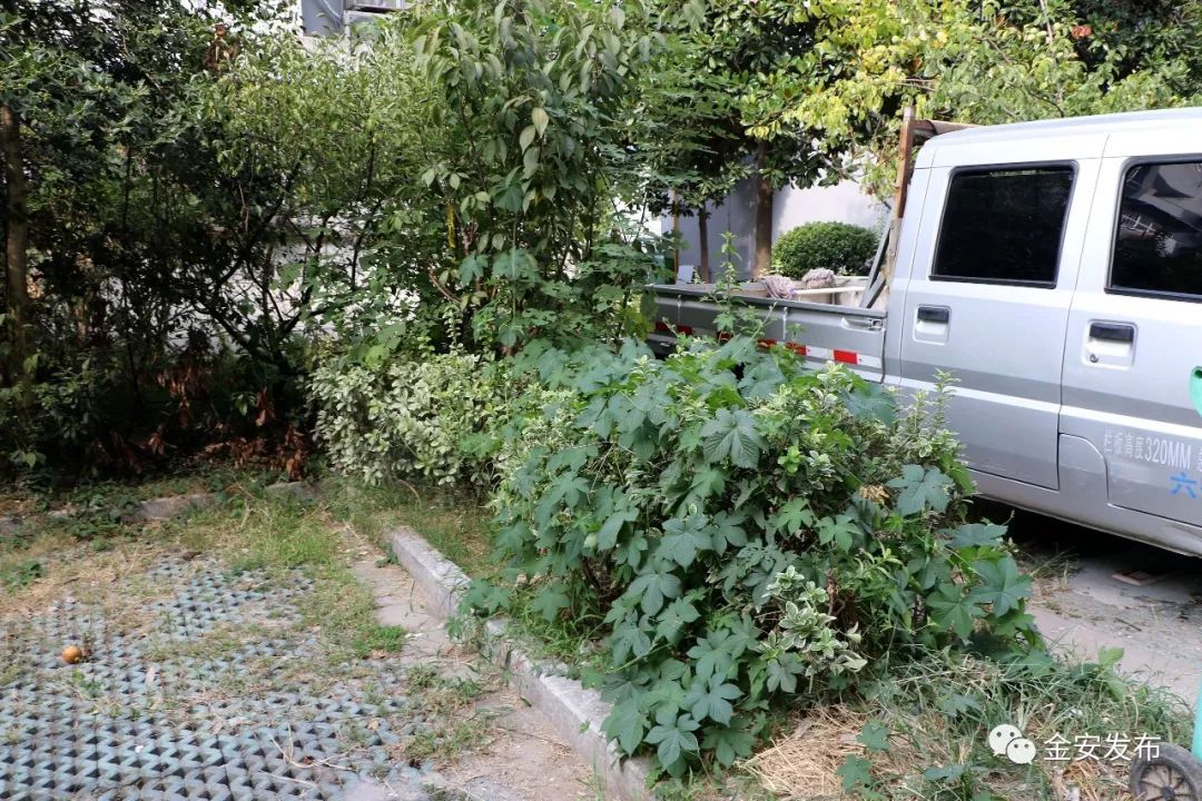 碧桂园空置房物业费收取标准,碧桂园老带新物业费不给了怎么办