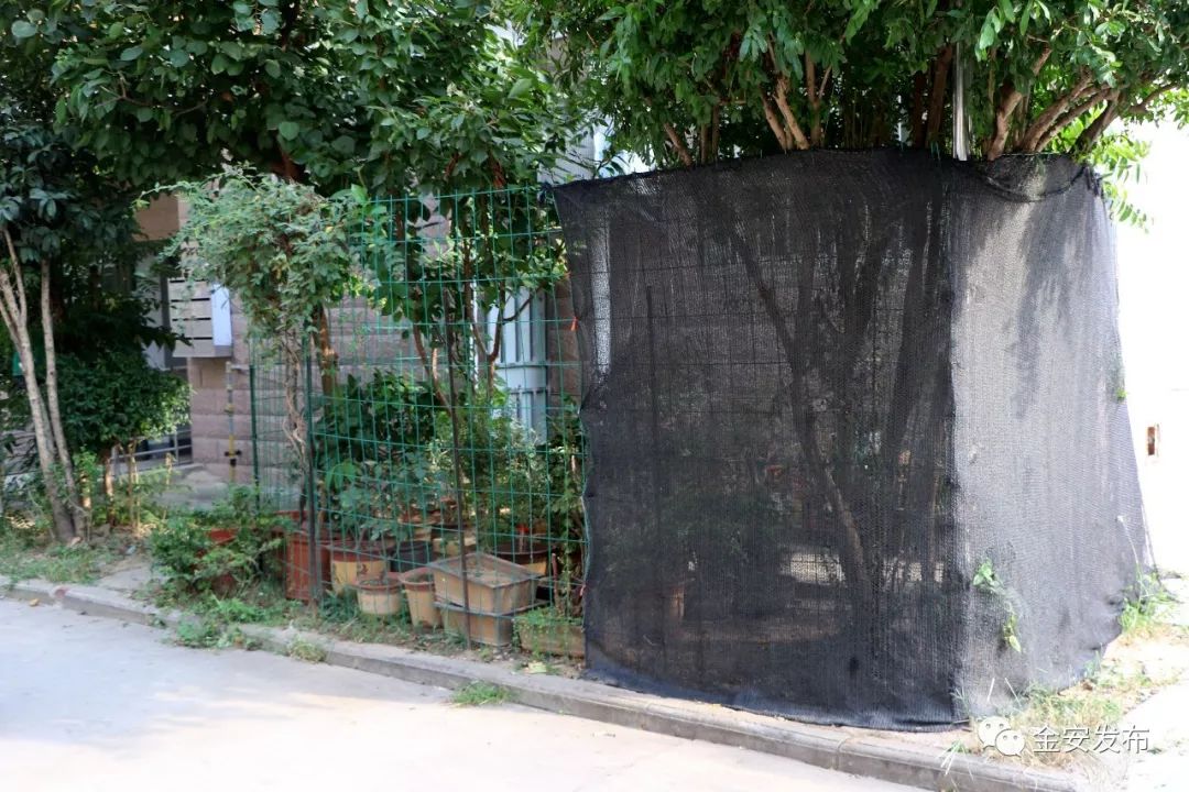 碧桂园空置房物业费收取标准,碧桂园老带新物业费不给了怎么办