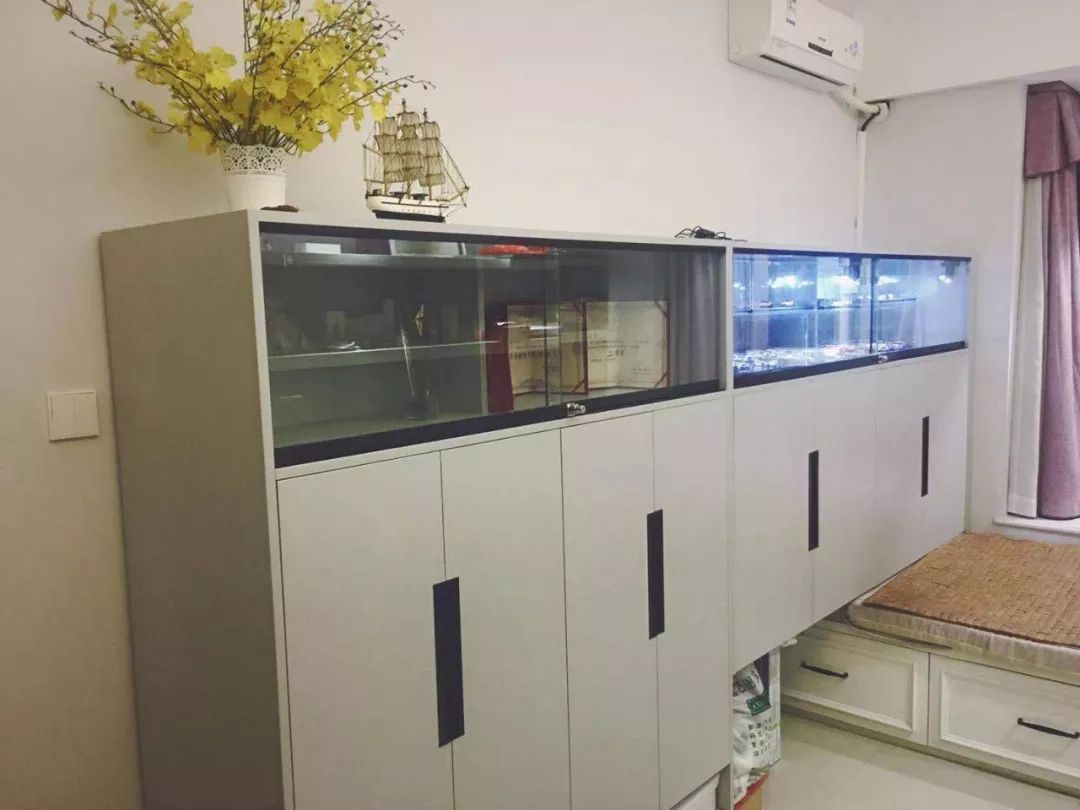 收藏车值不值得买,收藏车好不好