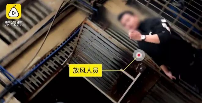 净网2019骗子案例,网红卖假货最新案件