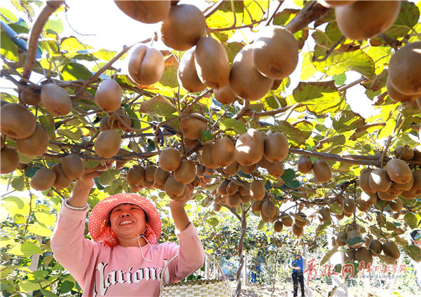 70秒看70年新中国发展巨变民生篇,70年农村巨变之农村篇