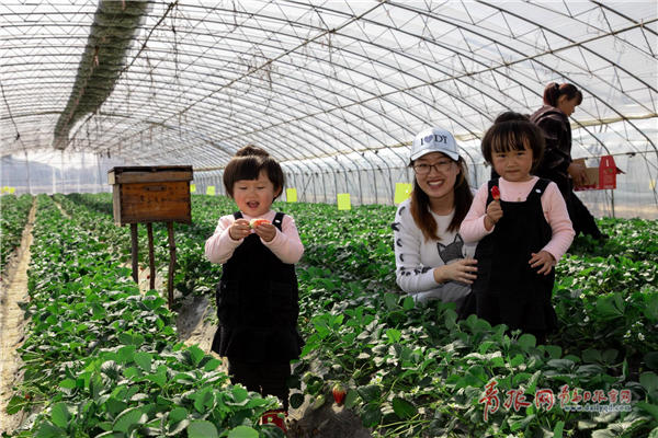 70秒看70年新中国发展巨变民生篇,70年农村巨变之农村篇