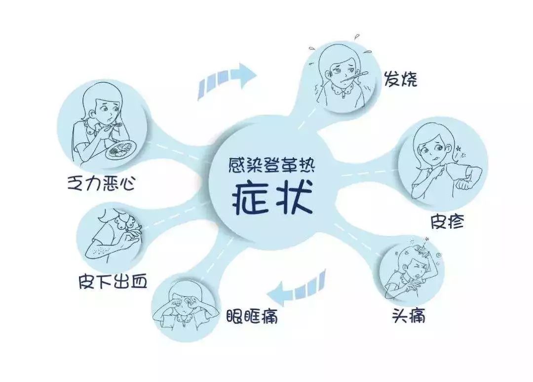 登革热进入高发期应如何预防,如何预防登革热疾控专家来支招