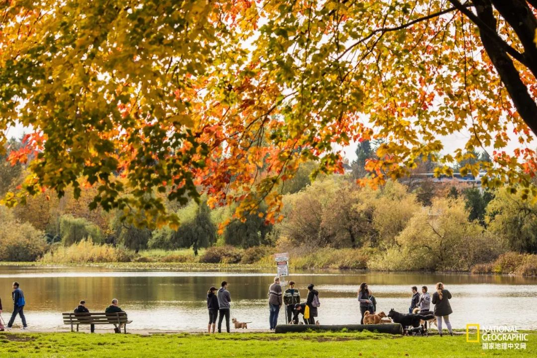 去加拿大必去景点有哪些地方,在加拿大10月中旬旅游地点推荐