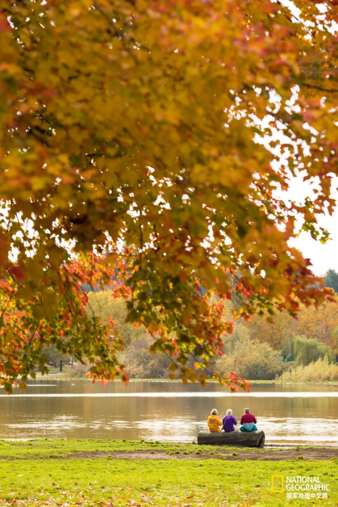 去加拿大必去景点有哪些地方,在加拿大10月中旬旅游地点推荐
