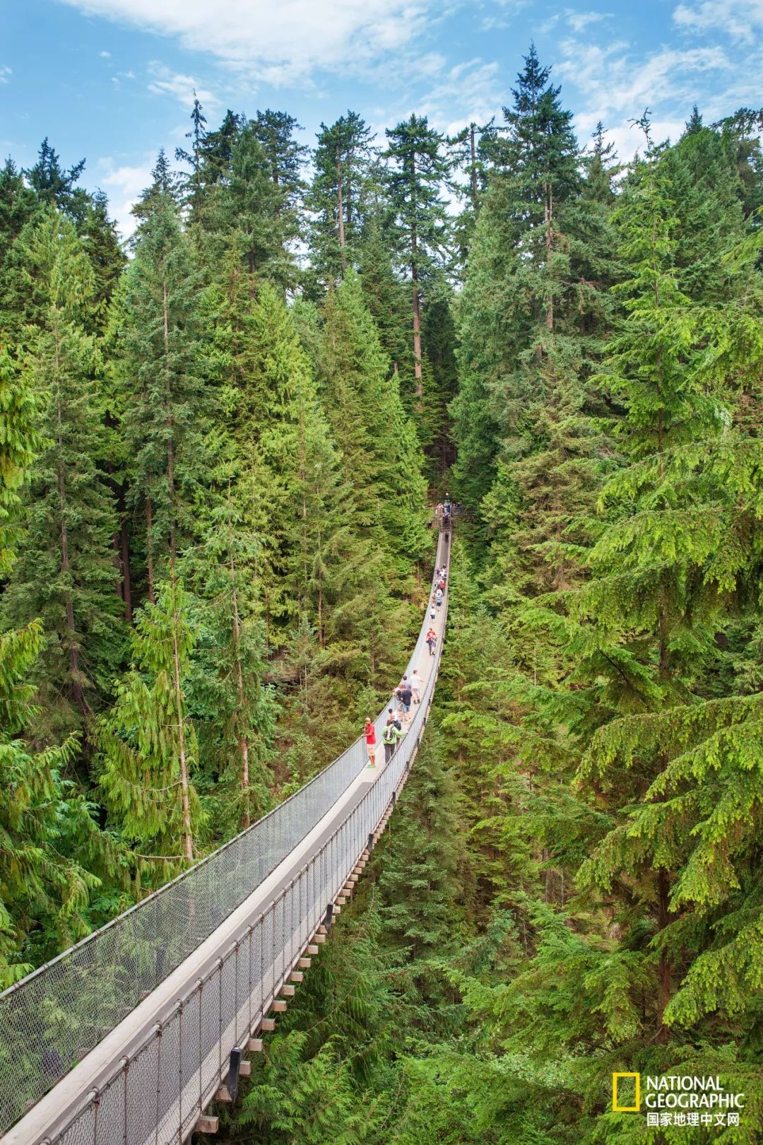 去加拿大必去景点有哪些地方,在加拿大10月中旬旅游地点推荐