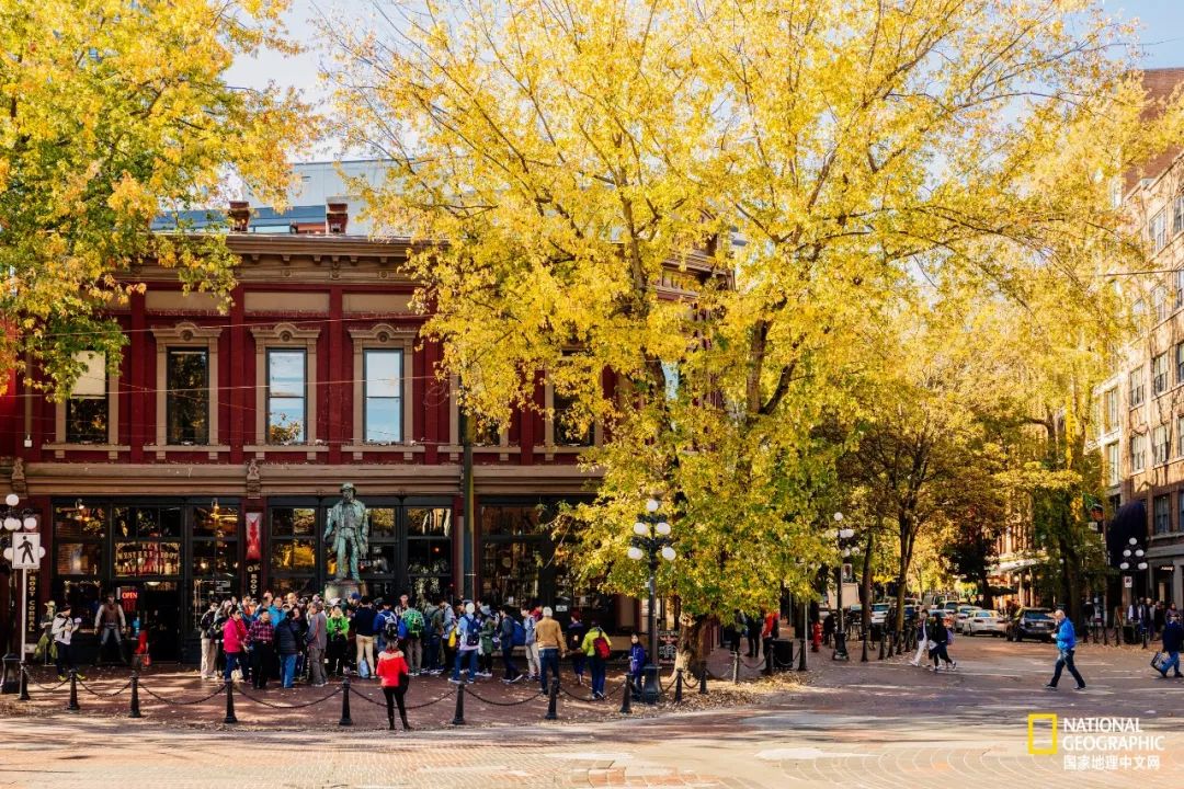 去加拿大必去景点有哪些地方,在加拿大10月中旬旅游地点推荐