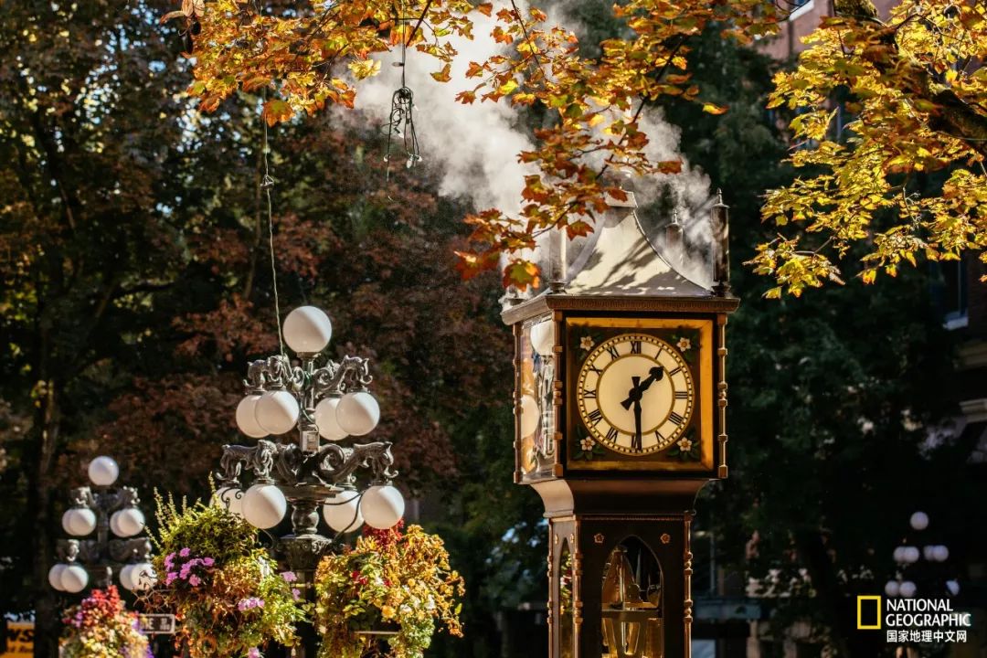 去加拿大必去景点有哪些地方,在加拿大10月中旬旅游地点推荐