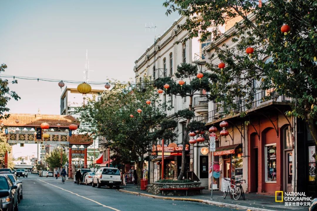 去加拿大必去景点有哪些地方,在加拿大10月中旬旅游地点推荐