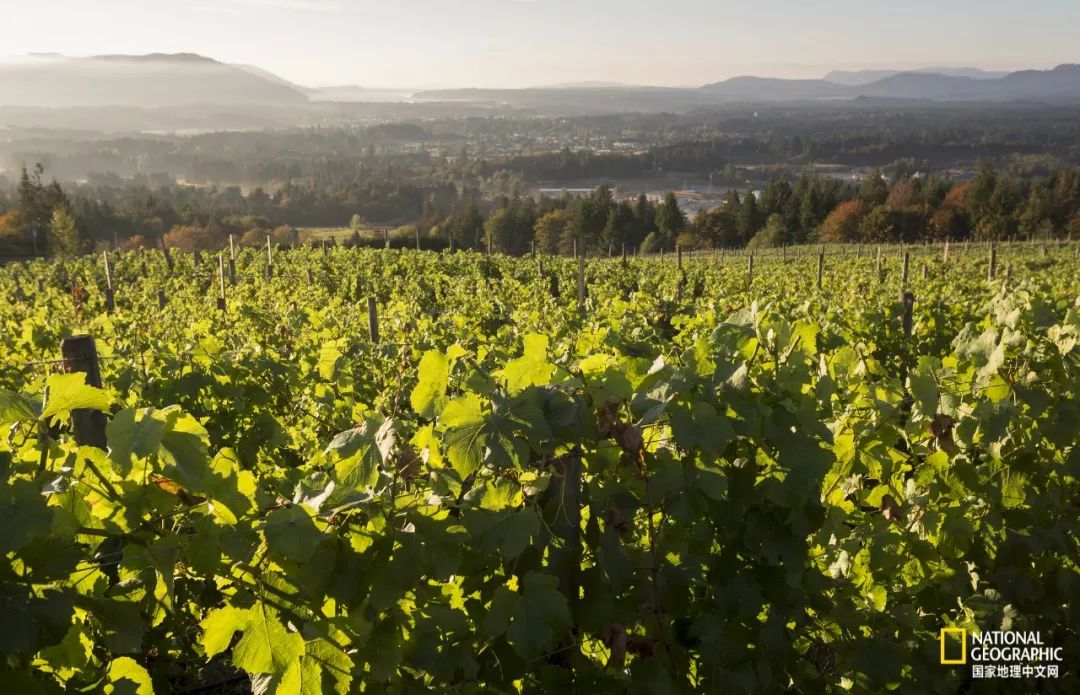 去加拿大必去景点有哪些地方,在加拿大10月中旬旅游地点推荐