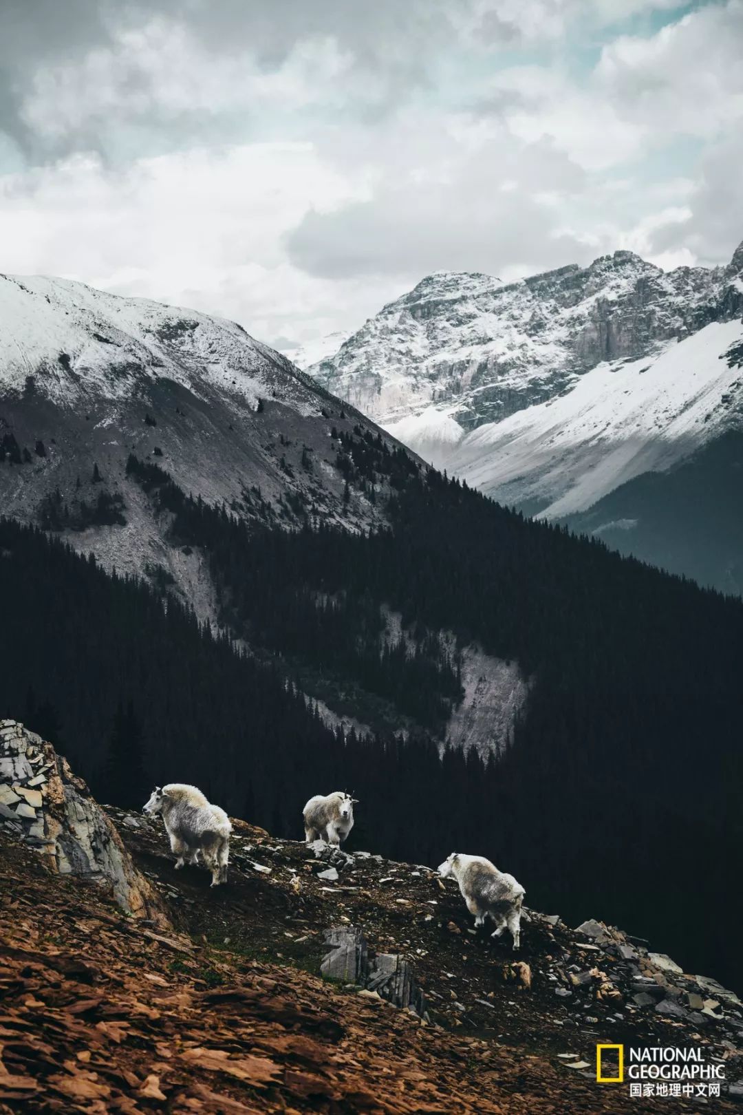 去加拿大必去景点有哪些地方,在加拿大10月中旬旅游地点推荐
