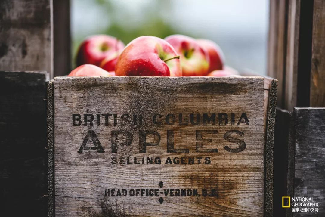 去加拿大必去景点有哪些地方,在加拿大10月中旬旅游地点推荐