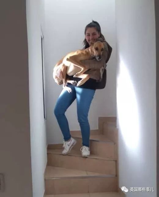 灏忛噾姣涜鍏诲涔呮墠鍙互鍙樻垚澶х嫍,閲戞瘺灏忔椂鍊欓兘鏄偦瀛愬悧