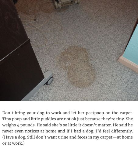 那些直击灵魂深处的奇葩问题,那些让人怀疑人生的奇葩问题