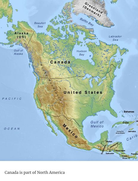 那些直击灵魂深处的奇葩问题,那些让人怀疑人生的奇葩问题