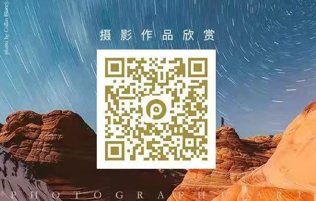 文史大参考公众号,文史青年公众号