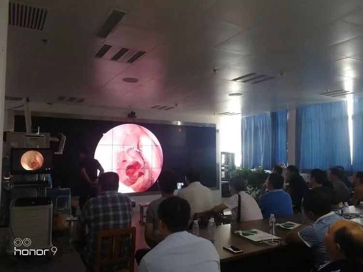 鼻整形实战技术高峰论坛,鼻科学