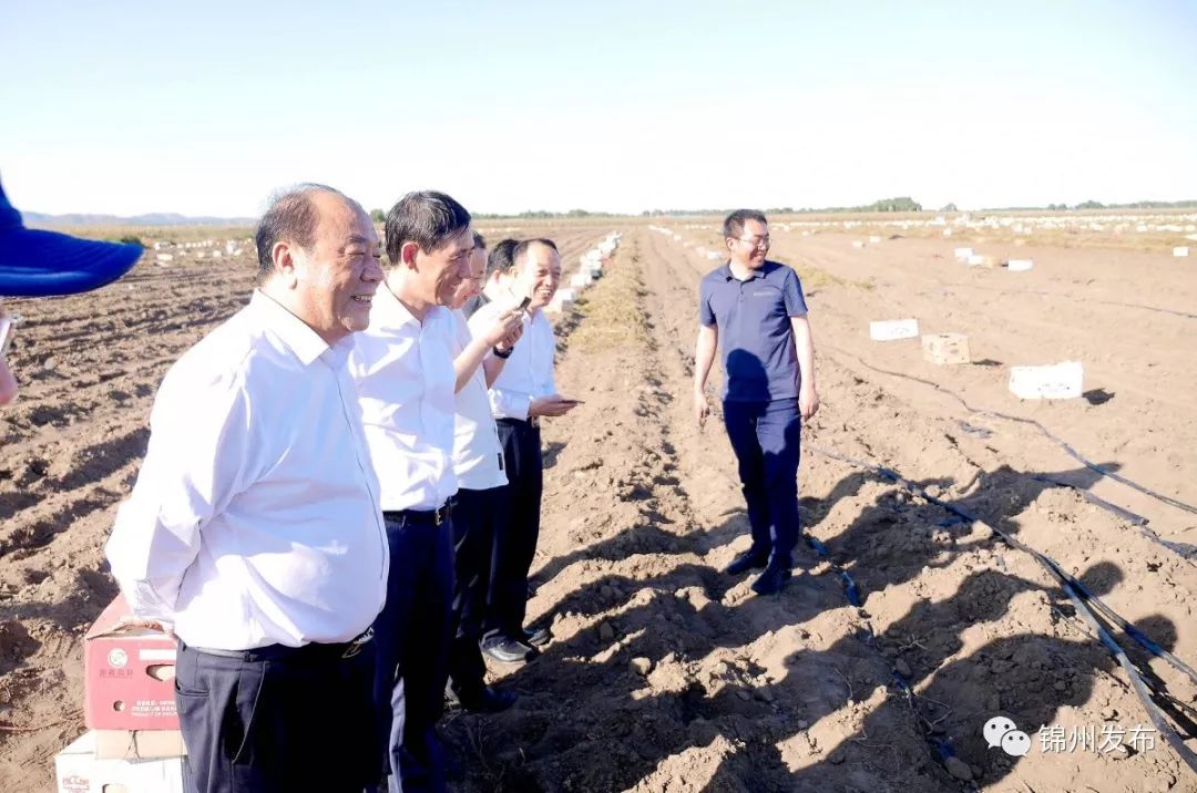 针对热点难点问题~王德佳深入四县区调研