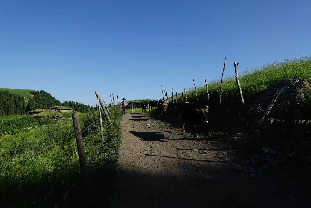 选好出行路线,选日期出行