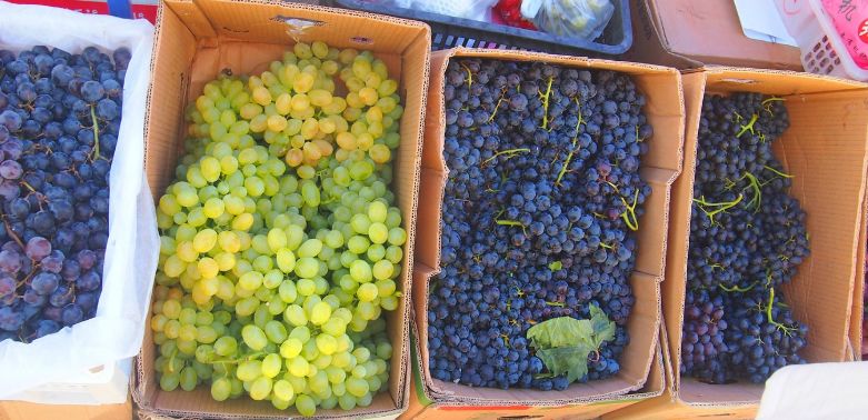 选好出行路线,选日期出行