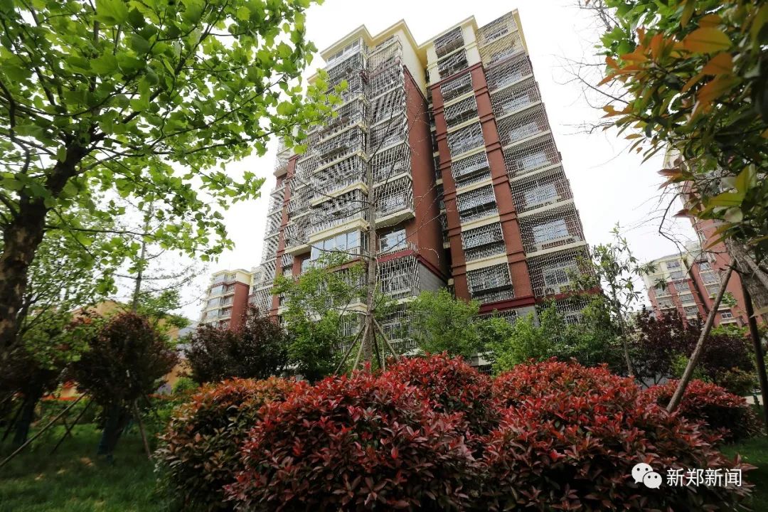 龙湖镇排名中部第一,2024年龙湖镇在全国500强第几