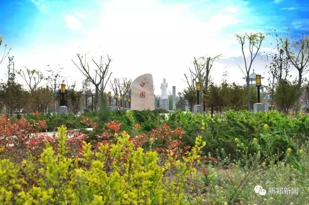 龙湖镇排名中部第一,2024年龙湖镇在全国500强第几