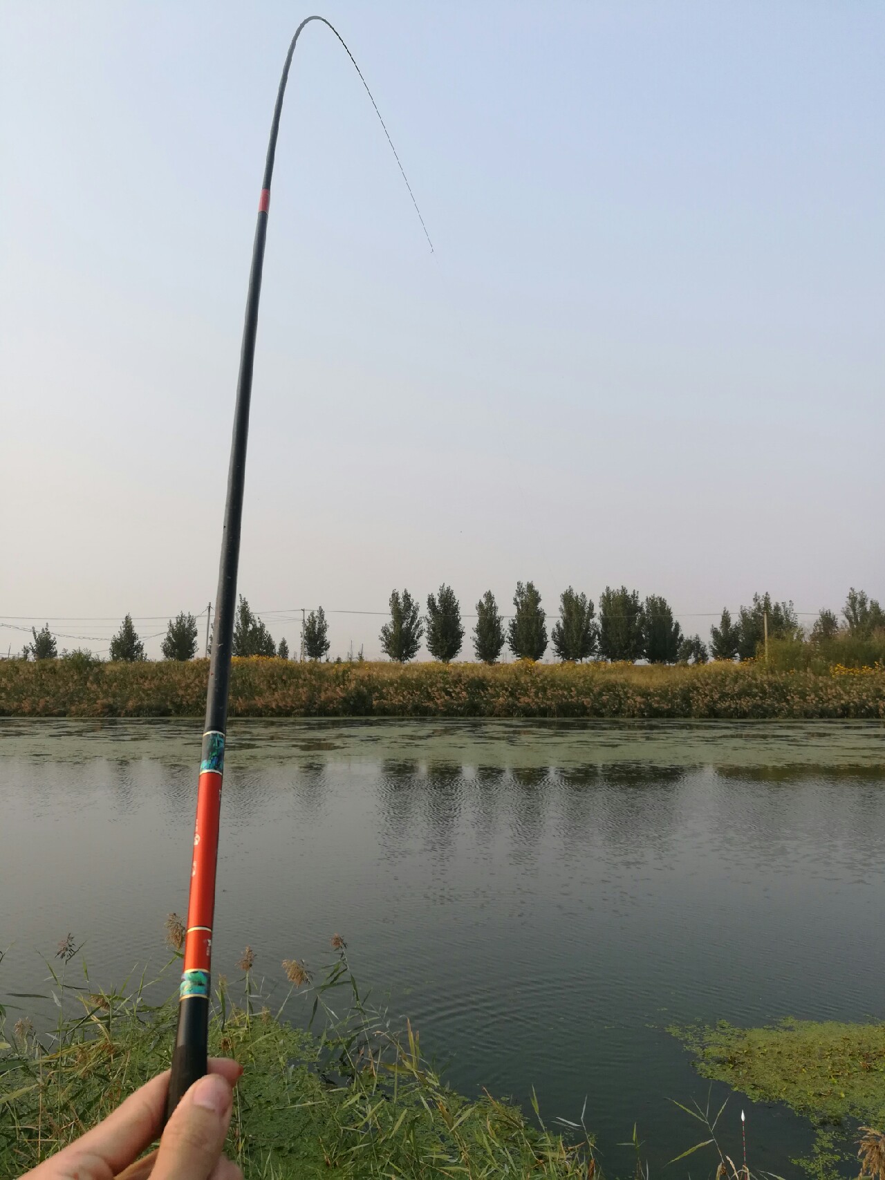 七星连珠天象现身预示什么,七星连珠将现身这有什么意义