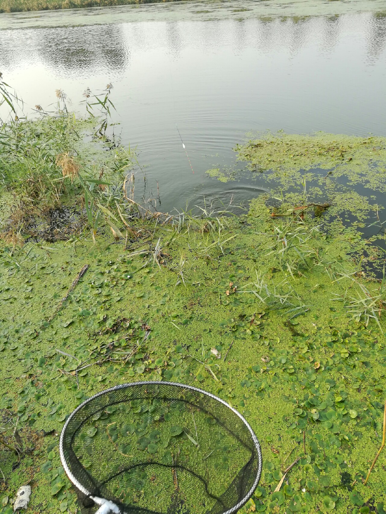 七星连珠天象现身预示什么,七星连珠将现身这有什么意义