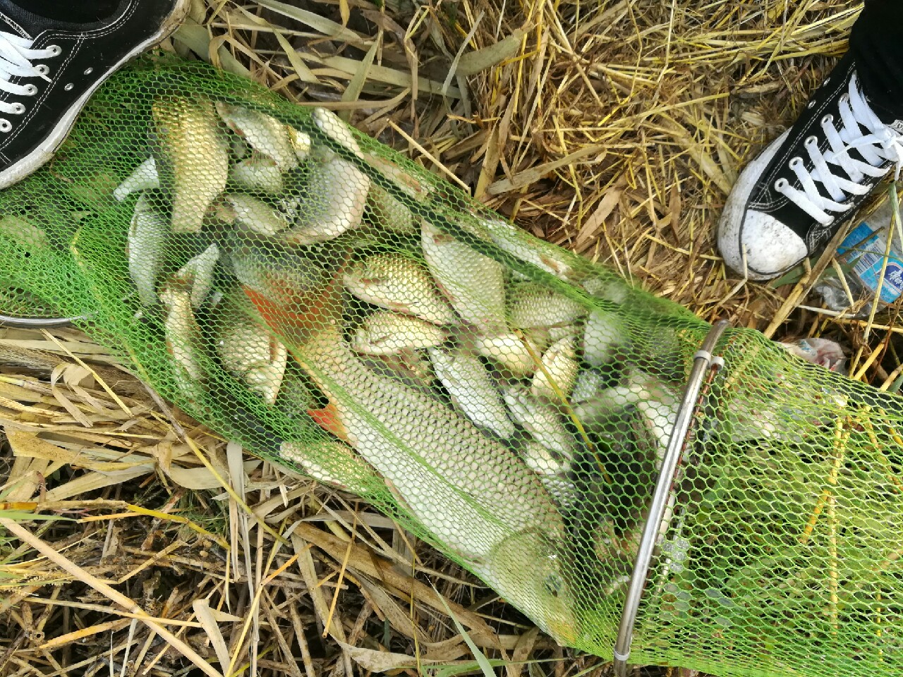 七星连珠天象现身预示什么,七星连珠将现身这有什么意义