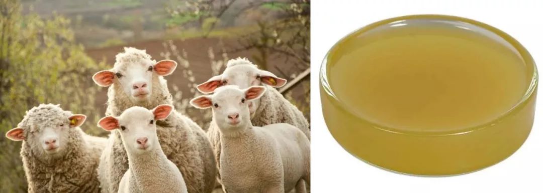 爸妈的手脚布满了老茧,手足干裂是什么前兆