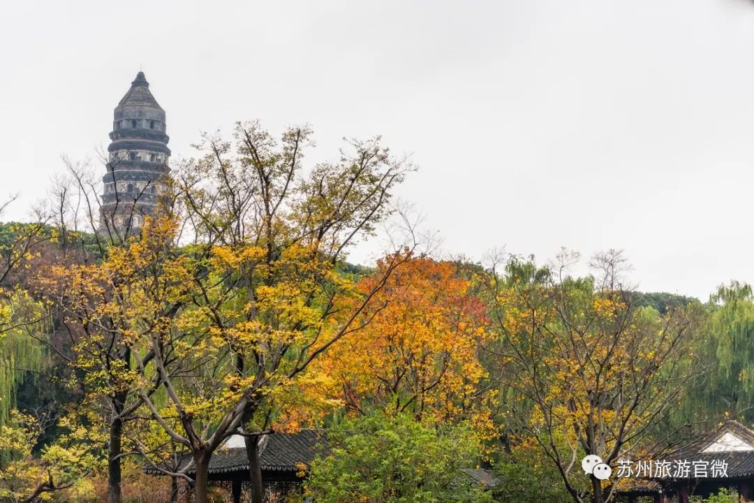 苏州四大景点有哪些,苏州旅游必去十大景点路线