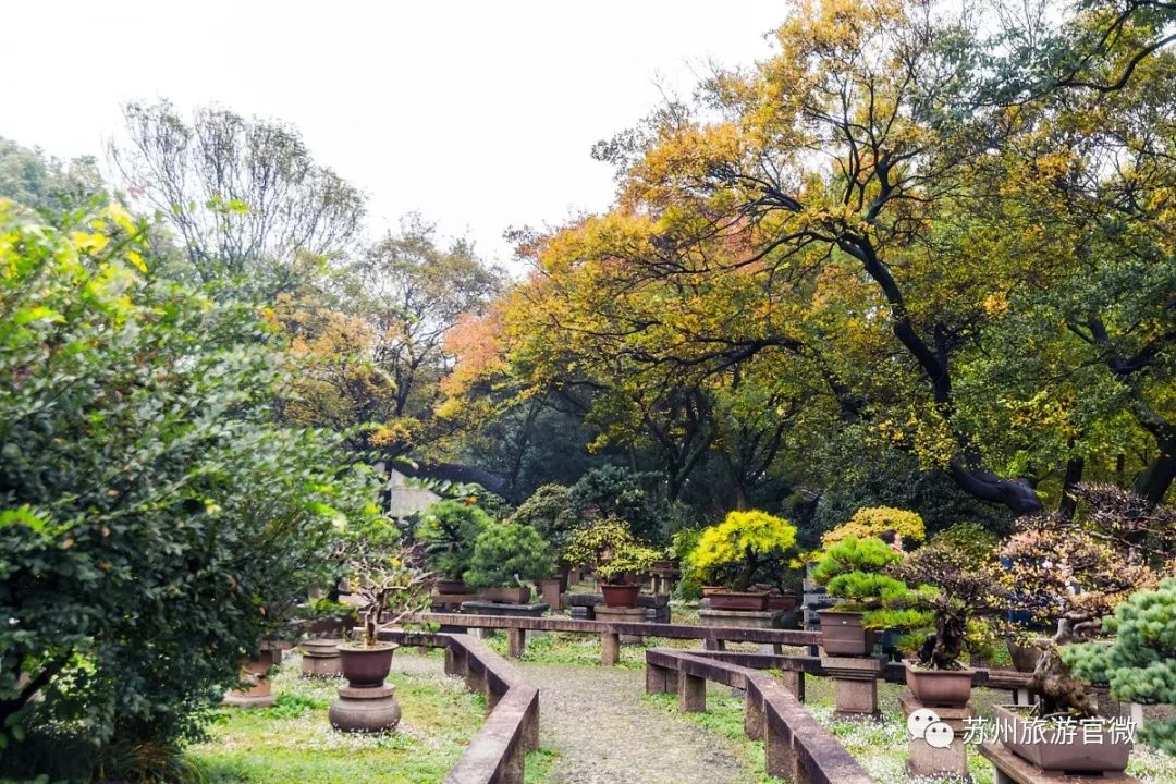 苏州四大景点有哪些,苏州旅游必去十大景点路线