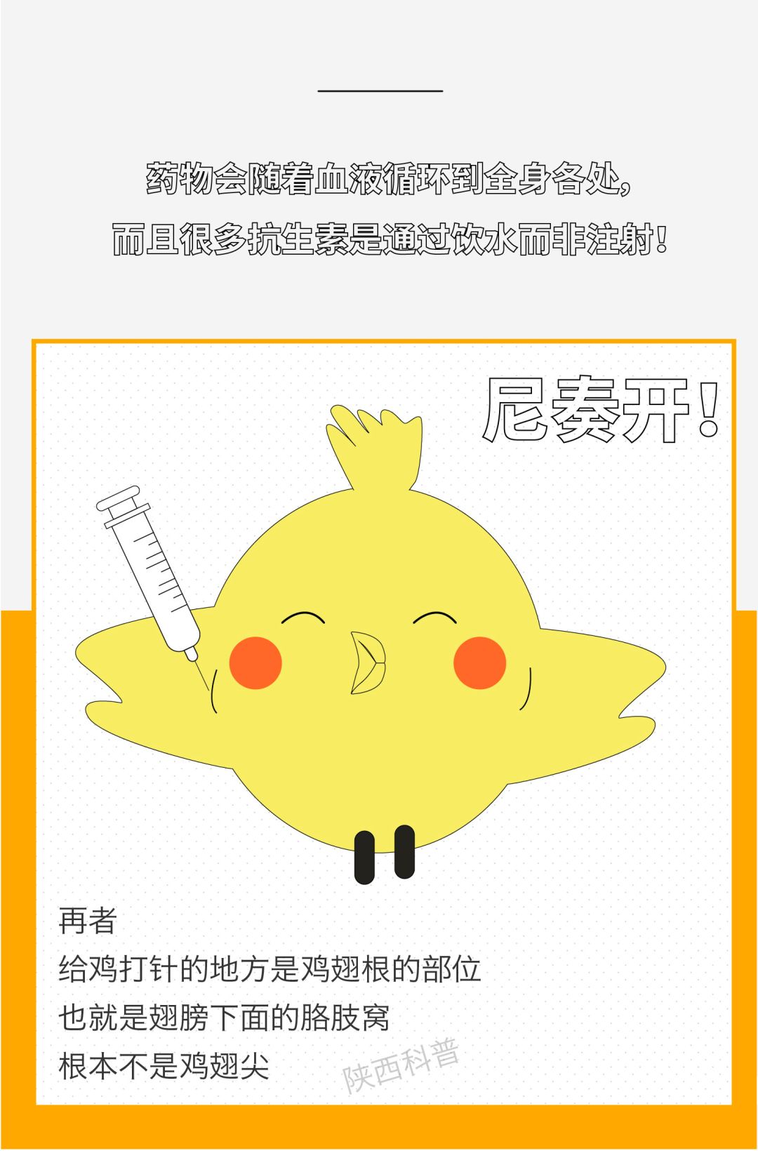 生病鸡杀了哪些部位不能吃,鸡哪些部位不能吃