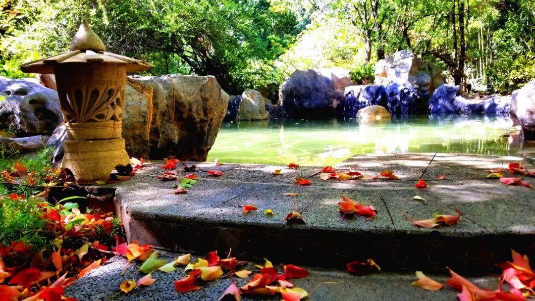 云南国庆黄金周首日,七天假期黄金周