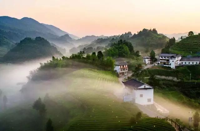 买它！谢谢你，为宣恩拼过单