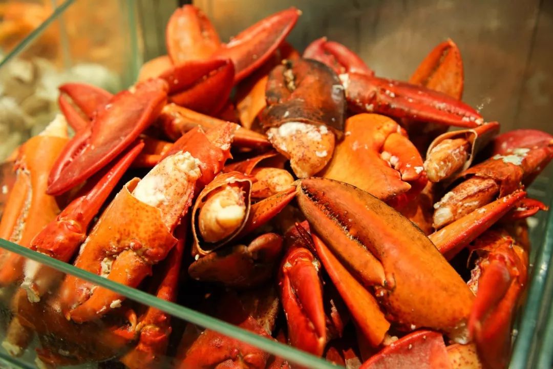 在澳门住的酒店,金沙酒店澳门开业