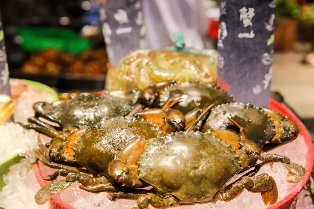 在澳门住的酒店,金沙酒店澳门开业