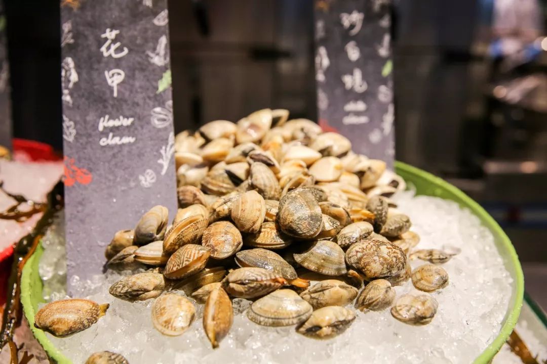 在澳门住的酒店,金沙酒店澳门开业